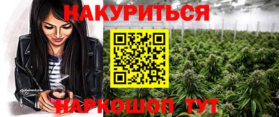 Альфа ПВП Обь