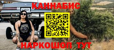 Альфа ПВП Обь