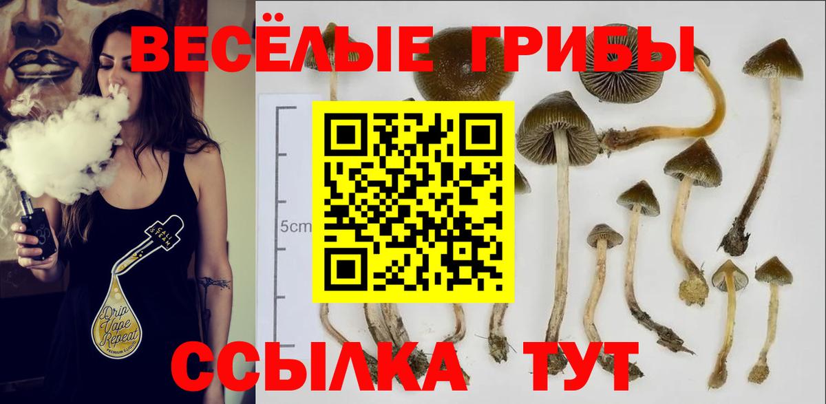 Пыть-Ях  Галлюциногенные грибы мицелий  Вход с VPN  Галлюциногенные грибы MAGIC MUSHROOMS 
